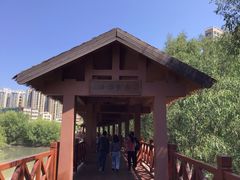 -大亚湾红树林城市湿地公园
