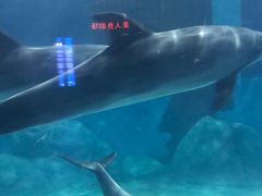 -福州罗源湾海洋世界旅游区