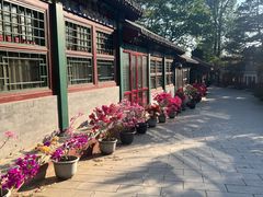 -红螺寺