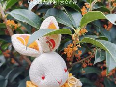 -济南南郊宾馆