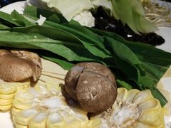 泡姜脆肚鸡-陈三娃泡姜鸡(太白北路店)