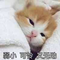 点击看大图 -花师傅