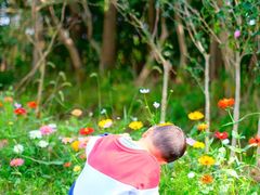 -前小桔亲子创意农场·草莓采摘·露营烧烤