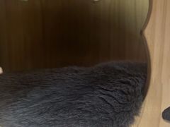 -203密室体验馆·逃脱·聚会·亲子(工体店)
