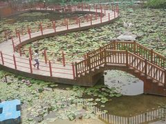 -珠海圆明新园