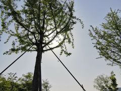 -长田漾湿地公园