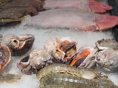 -渔娘渔家丹东海鲜(东直门店)