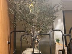 -新紫霞养生·影院足道·SPA(金山区店)