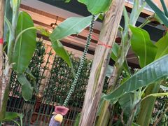 -北国之春国宴(乌兰察布店)