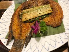 -紫滇源云南生态菜(丹凤街店)