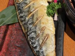 -鸟屯(三里屯店)