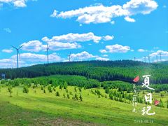 -草原天路(张北县)