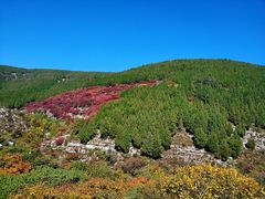 -龙洞风景区-藏龙涧