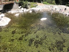 -青峰峡国家森林公园