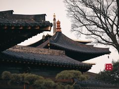 -广富林郊野公园