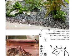 -隐溪茶馆(金虹桥店)