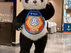-眉州东坡(民族园店)