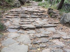 -阳台山自然风景区