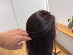 -程Studio