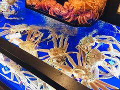 -蟹道乐(道顿堀本店)