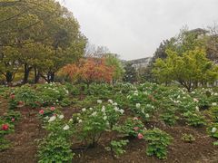 -江南大学(蠡湖校区)