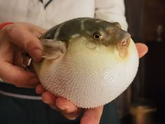 -永安鱼庄·镇江菜(东吴路店)