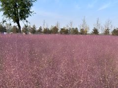 -汉长安城未央宫国家考古遗址公园