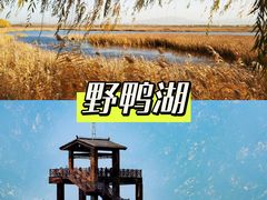 -周口店坡峰岭风景区