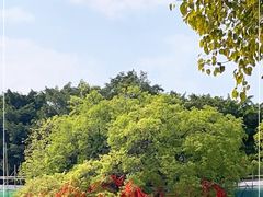 -广州莲花山旅游区