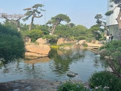 -罗红摄影艺术馆