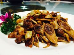 龙福成肥牛火锅-龙福成肥牛火锅(文昌店)