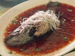 -上海万豪虹桥大酒店·宴会厅