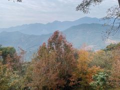 -广州市石门国家森林公园
