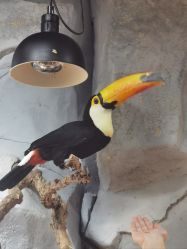 -Zoolung Zoolung动物主题公园(海信广场店)