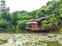 -云溪植物园