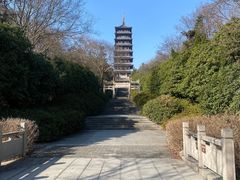 -宜兴龙背山森林公园