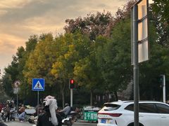 -万达广场(泰安泰山店)