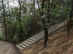 -火炉山森林公园