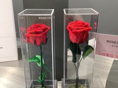 -ROSEONLY诺誓(广州K11店)
