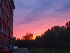 -东北大学(秦皇岛分校)