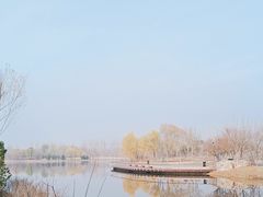 -东郊湿地公园