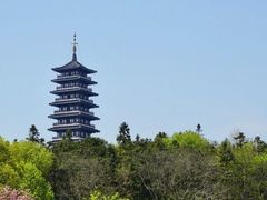 -宜兴龙背山森林公园