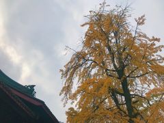 -古大圣慈寺