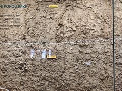 -盘龙城国家考古遗址公园