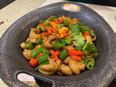 -新蜀会四川豆花(五羊店)