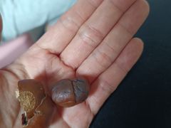 -粒上皇(莲塘聚宝路店)