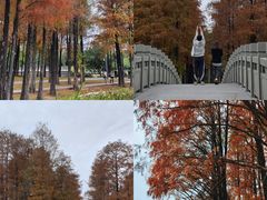-四海公园(南山区)