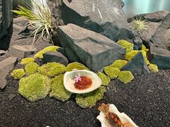 -曲廊院(东四十一条店)