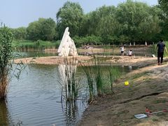 -永定河休闲森林公园