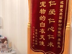 -宠爱国际动物医院· 猫科· 外科·中兽医(长白店)